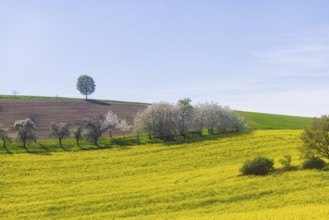 Fields near Karsdorf, Quoren and Possendorf, Karsdorf, Saxony, Germany, Europe