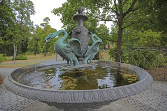 Swan fountain with bowl and swan figure, two, water jet, English Garden, Meiningen, Thuringia,