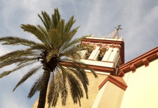 Date palm tree and tower of Basilica de la Macarena, Barrio Macerana, Seville, Spain, Europe