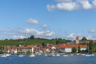 Townscape, sports boats, church, blue sky, vineyards, Hagnau on Lake Constance, Baden-Württemberg,