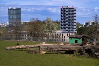 View from Höhenpark Killesberg over animal enclosure to Feuerbach district, new Porsche Design