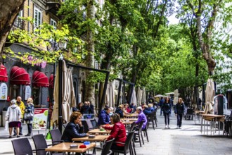 Viale XX Settembre promenade, Trieste, harbour city on the Adriatic, Friuli, Italy, Trieste,