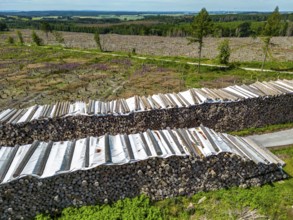 Large tree stacks, Cleared forest in the Eggegebirge, near Lichtenau, Paderborn district, site of a