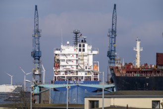 Shipyard Dock 5, freighter BBC Xingang dry dock, freighter Adam Schulte, shipyard in the overseas