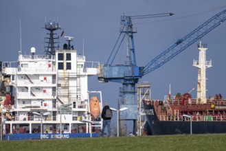 Shipyard Dock 5, freighter BBC Xingang dry dock, freighter Adam Schulte, shipyard in the overseas