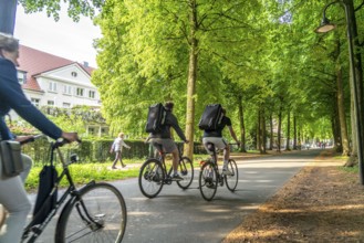 Promenade cycle path, tree-lined, car-free, approximately 4.5 km long ring road around the city