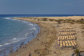 Beach of Playa des Ingles with the dunes of Maspalomas, Gran Canaria, Canary Islands, Spain, Playa