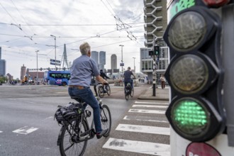 Bicycle traffic light, cyclist on cycle path, in front of the Erasmus Bridge over the Nieuwe Maas,