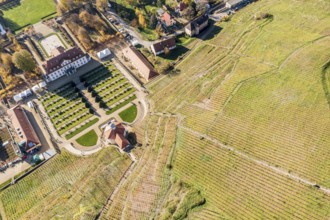 Aerial view of vineyard and castle Wackerbarth with Belvedere, Radebeul near Meissen, Germany,