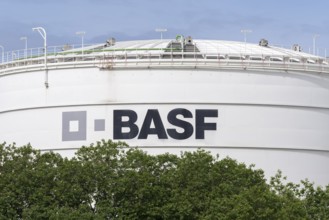 BASF, Lugwigshafen am Rhein, industrial area, Mannheim, Baden-Württemberg, Germany, Europe