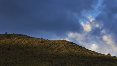 Sunlight and shadow play across a grassy hill under a dramatic sky with dense clouds, Lefka Ori,