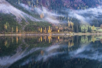 The Vordere Gosausee in autumn. Part of the lake shore, with clouds. Trees in autumn leaves, yellow