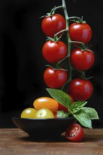 Cherry tomatoes on the stem and in skin, cherry tomato