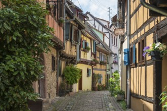 Medieval village and colourful half-timbered houses, Eguisheim, Plus beaux villages de France,