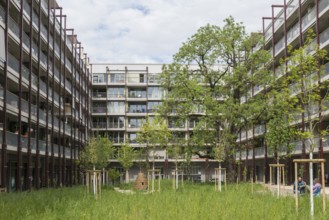 Modern architecture, co-operative, housing co-operative, Westfeld, Basel, Canton of Basel-Stadt,