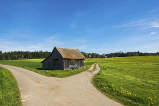 Barn and flower meadow, Musbach, near Freudenstadt, Black Forest, Baden-Württemberg, Germany,