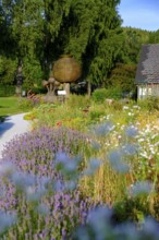 Herb garden, poppy garden, Waldviertel grey poppy, poppy village Armschlag, Waldviertel, Lower