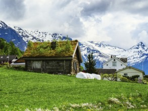 Mountains and Fjord over Norwegian Village, Olden, Innvikfjorden, Norway, Europe