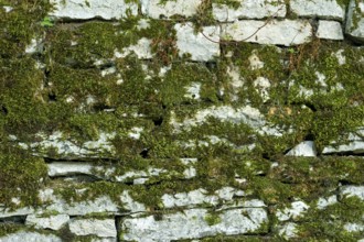 Dry masonry, mossy wall made of natural stones, background image, Wülzburg Fortress, Renaissance