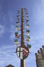 Guild tree of the winegrowers on the market square of Hammelburg, Lower Franconia, Bavaria,