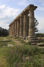 Metaponto, Metaponte, Doric hera temple, Tavole Palatine, Basilicata, Italy, Europe