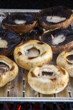 Mushrooms are grilled on a grill tray