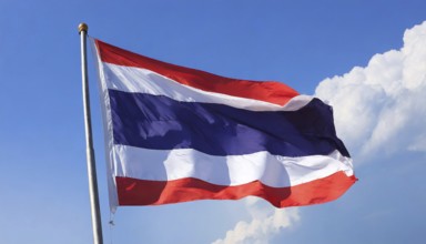 Flags, the national flag of Thailand flutters in the wind