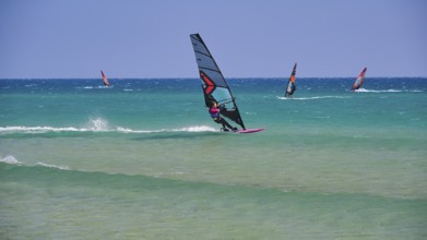 Several windsurfers glide over the blue sea under a clear sky, surfer's paradise, kitesurfer,