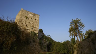 Ruin of an old tower under a clear sky next to a tall Palm tree, harbour area, Rhodes Town, Rhodes,