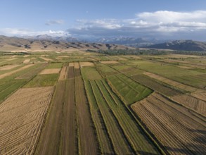 Aerial view, Cultivated fields, Agriculture, Landscape, Kyrgyzstan, Asia