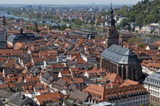 View from the castle ruins to Heidelberg with the Heliggeistkirche and Neckar, castle courtyard,