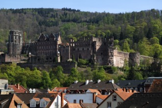 General view of the ruins of Heidelberg Castle, destroyed in 1698, Heidelberg, Baden-Württemberg,