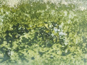 Detail of salt marshes near Sanlúcar de Barrameda. Aerial view. Drone shot. Cádiz province,