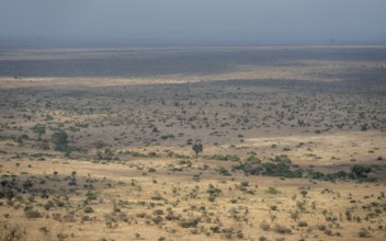 View over savannah landscape, Kruger National Park, South Africa, Africa