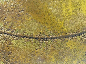 Detail of marshland near Sanlúcar de Barrameda. Aerial view. Drone shot. Cádiz province, Andalusia,