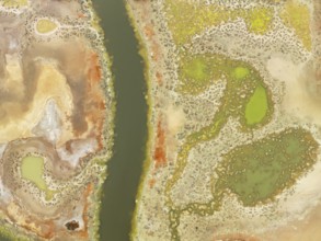 Marshland at the lagoon Estero del Rincón. Aerial view. Drone shot. Huelva province, Andalusia,