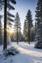 Peaceful snowy forest clearing at dawn with snow softly blanketing the ground and frost-covered