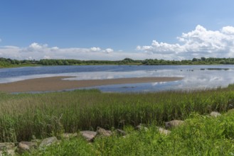 Small Noor in the nature reserve Holnis peninsula, nature reserve on the Flensburg Fjord, inland