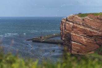 Red coloured sandstone, steep cliff coast of the high seas island of Heligoland, home of the