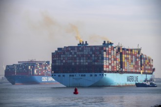 Harbour tugs bring the container freighter Madison Maersk from its berth at the RWG Container