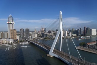 The skyline of Rotterdam, with the Erasmus Bridge over the Nieuwe Maas, Netherlands