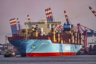 Magleby Maersk container freighter leaves Waltershof harbour after several days at EUROGATE