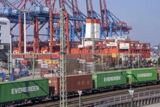 Port of Hamburg, Waltershofer Hafen, container ships, goods train with containers and container