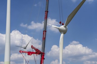 Repowering of a wind farm near Issum, 9 older wind turbines from the manufacturer Enercon (model