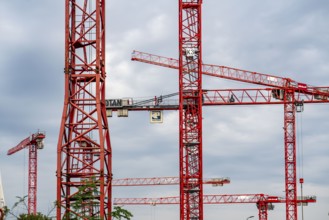 Construction cranes, on a large building site in Düsseldorf, Deiker Höfe, North Rhine-Westphalia,