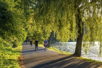 Inline skaters on Lake Baldeney, around 14 kilometres around the Ruhr reservoir, summer evening on