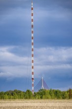 Niederrheinbrücke Wesel, bridge pier, B58, cable-stayed bridge, the Wesel transmitter, 320 metre