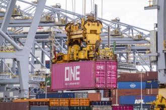 RWG Container Terminal, containers being loaded by crane, seaport of Rotterdam, Maasvlakte 2