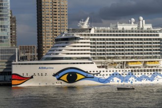 Rotterdam, skyline at the Nieuwe Maas, skyscrapers at the Kop van Zuid district, cruise ship Aida