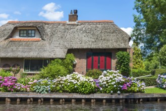 Thatched roof house, house, farmhouse, village, rural, flowers, well-kept, blue sky, architecture,